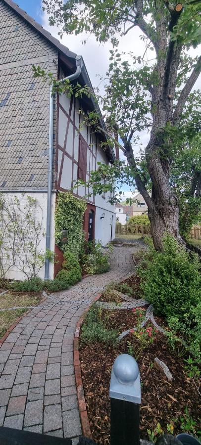 Ferienhaus Schuldienersch Biedenkopf Bagian luar foto